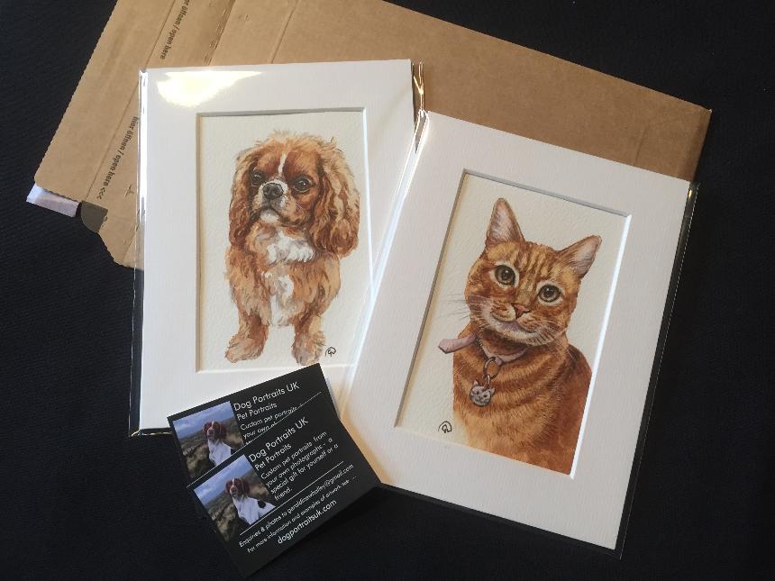 pet portraits in watercolour, dog portraits uk