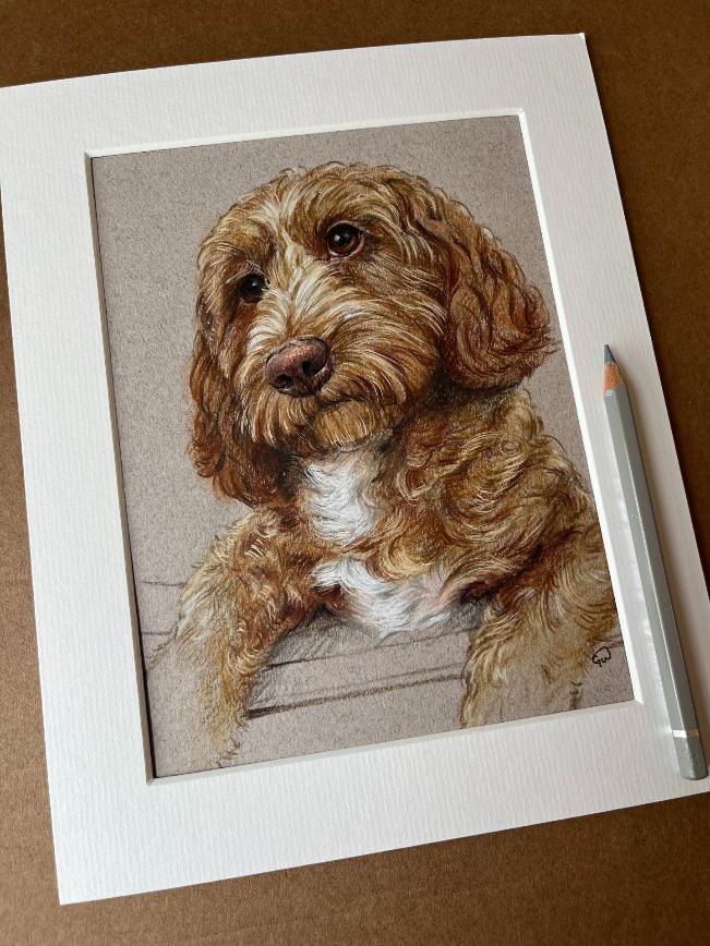 custom pet portrait