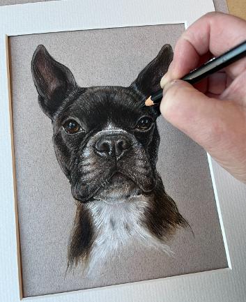 custom pet portrait