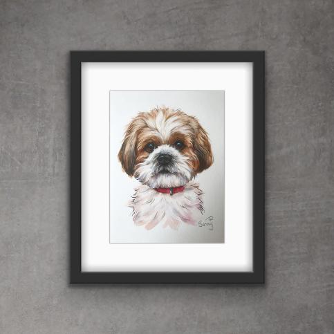 springer spaniel watercolour, dog portrait