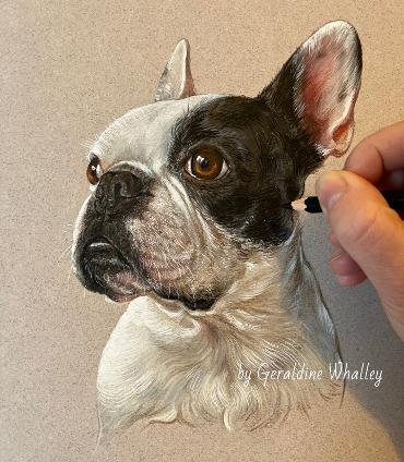 custom dog portrait, french bulldog, boston terrier, dog painting